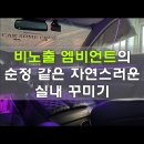 카썸크루 이미지