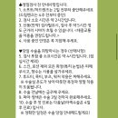 스마일약국 | 강남 지에스안과 내돈내산 스마일라식 당일수술 찐 후기