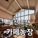 주전1길 이미지