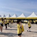 미니언즈 런 2025 서울 5km 완주 후기 상암 이색 마라톤