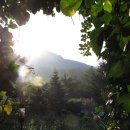 눈부신아침 이미지