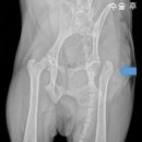 청송동물병원 이미지