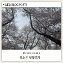 성곡로 63번길 | 도당산 벚꽃축제 2026 일정 주차 실시간 벚꽃개화