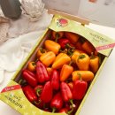 해오름농장-3 이미지