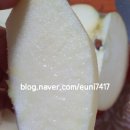 이현 1농장 이미지