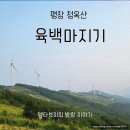 평창 청옥산 육백마지기 데이지와 청옥산 전망대 풍경 차박 추천 주차 정보