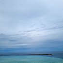 버블퍼피(펫푸드) 이미지