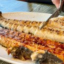 장어명가 지중해 이미지