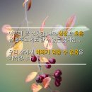 보수왕 이미지