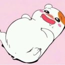 마약 볶음밥 이미지