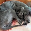 대일고등학교 이미지