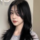 베체헤어