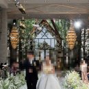 포레스트문 | 춘천 미래컨벤션 포레스트홀 후기(주차, 식사 등)