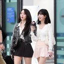 신비 카카오 검색결과