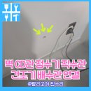 정수선 - 은평구 불광로 87 | 냉장고장 벽 CD관 정수기 직수관 건조기 배수관 연결