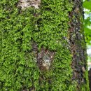 여중사거리 이미지