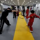 코리아 합기도 이미지