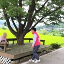 신정1리마을회관 이미지