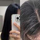 서울/성동) 부크헤어 왕십리센트라스점 / 퍼스널컬러진단 해서 염색해주시는 곳 / 미용실 추천