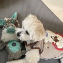 커피에르빈 이미지