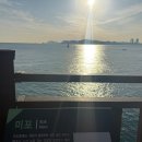 정보과학고 건너 | 2026년1월 회고록