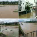 엘피코리아 이미지