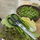 정읍행복식당 이미지