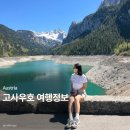 호수커피호프 | 고사우 호수 5월 방문 후기, 고사우 가는 방법