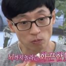 5바 이미지