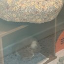 오묘화당 이미지