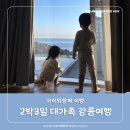 파인관광호텔 | 2박3일 꼬우남매&amp;대가족 강릉여행(라카이샌드파인리조트, 탑스텐호텔)
