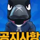 스타즈몰 네이버블로그