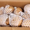 감자와 스무디 이미지