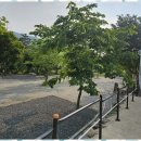 마이산 가자캠핑장 이미지