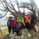 청도우체국 이미지