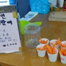 행운목장 이미지