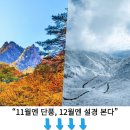 풍경목장 Daum카페