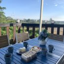 솔레올레 이미지