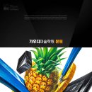 파인애플학원