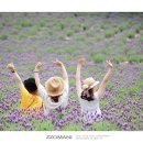 보랏빛 스튜디오
