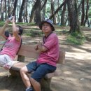 다솔농원 - 용인시 처인구 전궁로 29 | 다솔농원