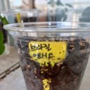 맘앤시스
