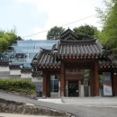대국법무협력 | ‘한국판 미네르바대’ 태재대에서 무슨 일이