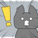 장터정육점 이미지