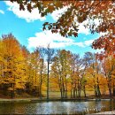 어느 날 오후 이미지