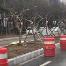 원이대로 이미지