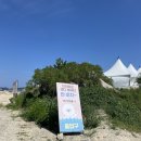 [Vacation] 올해 여름 휴가 추천 애견동반 해수욕장 @반비치 +횟집,카페