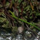 상동회관 이미지