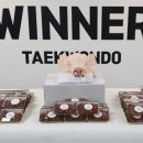 위너태권도 이미지