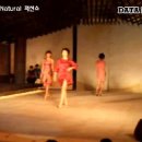 우리전통문화의 세계화를 보여준 2009 한국스타일박람회 하편